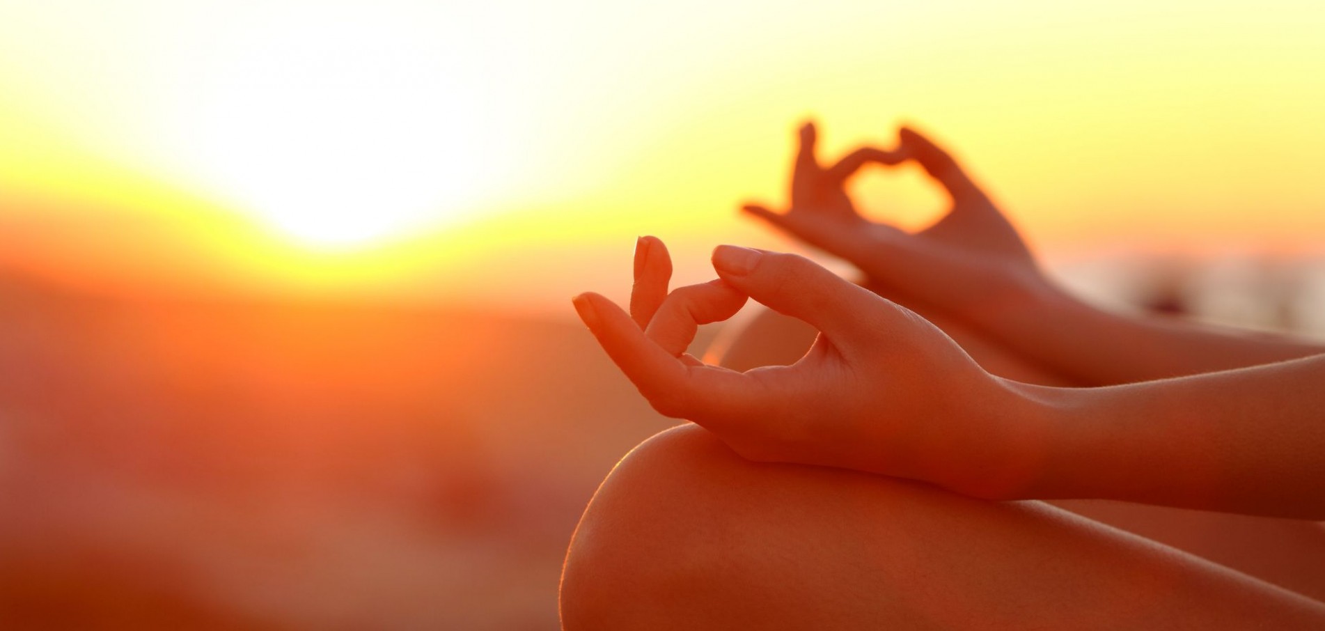 Joga Lentvario dvare
